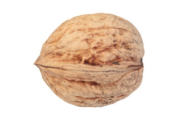 walnut