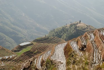 Zelfklevend Fotobehang China - Longsheng rice terraces © bubblegun