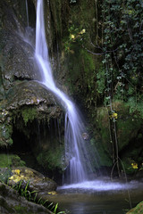 Nacimiento de R&iacute;o Huesna_1