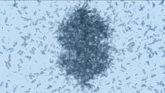 Microbes form Dollar
