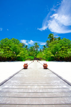 Holiday Paradise