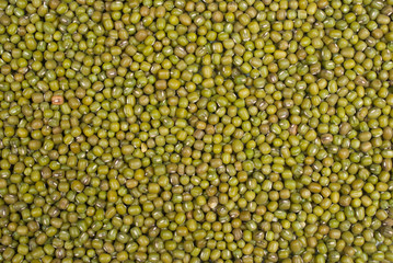 Moong beans