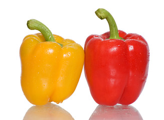 Peppers.Two peppers on a white background.