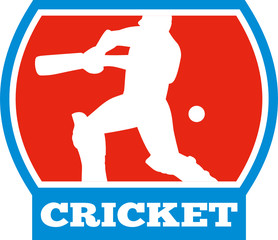 cricket player batting