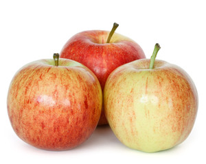gala apples
