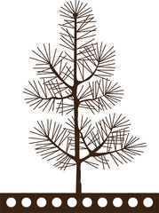 Pine tree