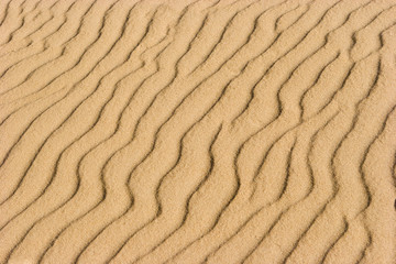 Sand texture