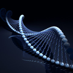 DNA Strands