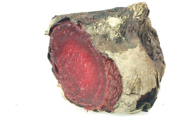 barbabietola
