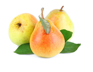 Pears with leaves