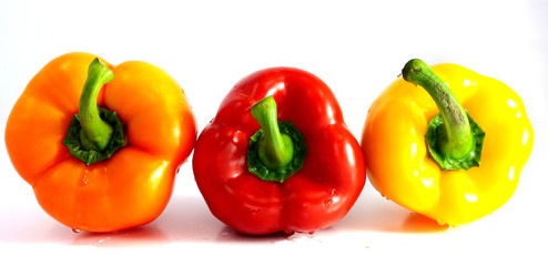 Paprika isolated