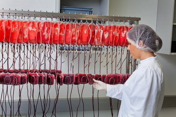 Untersuchung vom Spenderblut im Blutlabor
