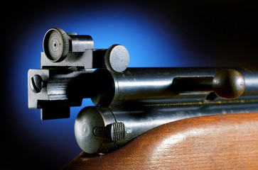 Obraz premium Rifle sight back lit by blue spot