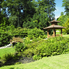 Fototapeta na wymiar Japanese Garden, Powerscourt Gardens, County Wicklow, Ireland