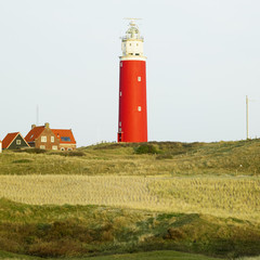 Fototapeta na wymiar lighthouse, De Cocksdorp, Texel Island, Netherlands