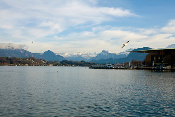 seagulls on lake and snowed peaks on background