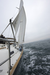 Obraz premium navegando II