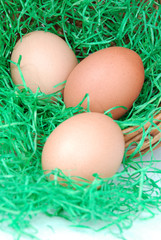 Drei Ostereier im Ostergras