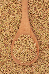 Buckwheat
