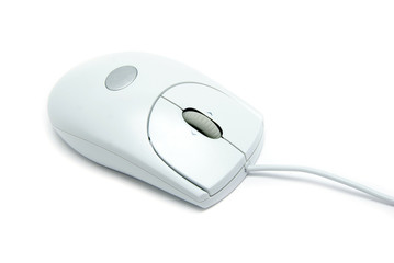 computer mouse