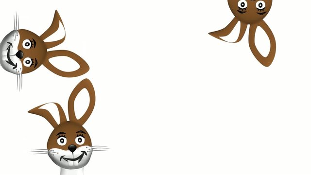 Rabbits