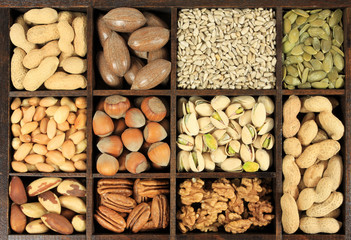 Nut variety
