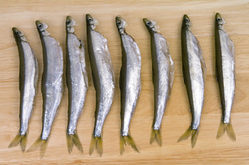 Refined  smelt