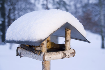 nesting box with snow