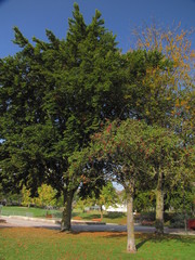 Le Champ de Juillet et la Gare ; Limoges ; Haute-Vienne