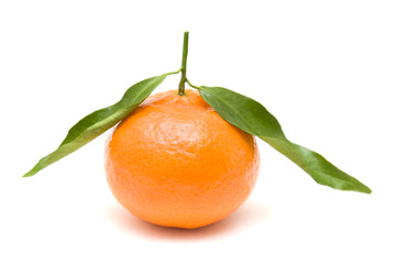 one clementine with leaves; isolated on white background