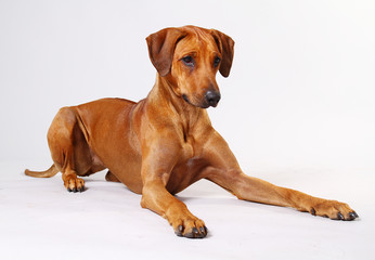 Schaue mal, hier bin ich