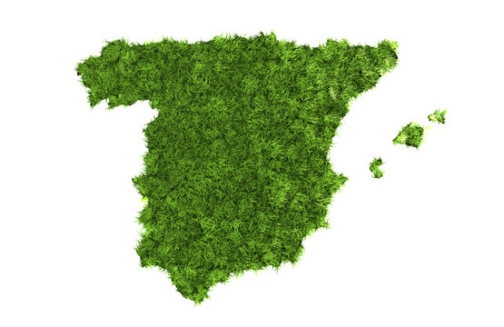Spanien Rasen