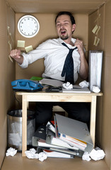 man in the box