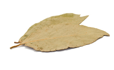 bay leaves