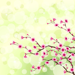 Flowering tree background. Includes Transparencies