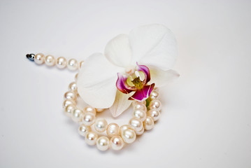 жемчуг и орхидея
