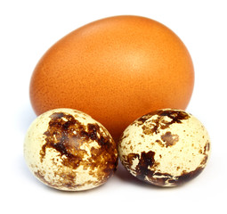 Mixed eggs