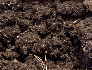 Soil