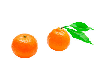 Mandarins isolated on white background