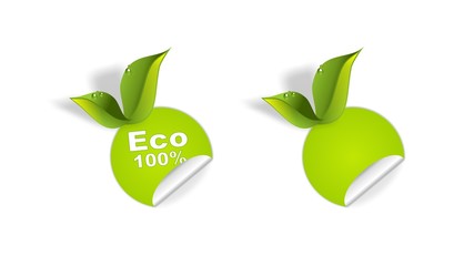 ECO 100%