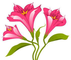 Beautiful Lily design element