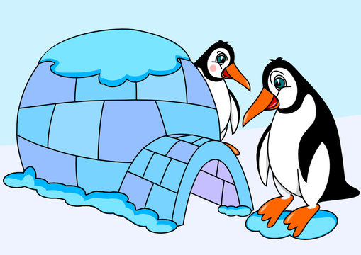 Penguins and igloos