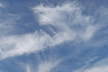 Fototapeta na wymiar Cloudscape - only sky and clouds