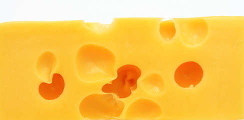 piece of cheese