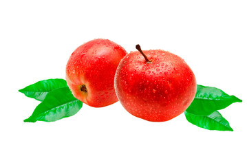 apple isolated on white background
