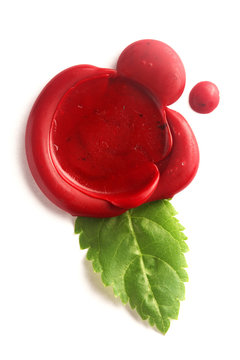 Red Wax Seal With Green Leaf