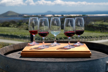 Wine Tasting - Glasses, red and white