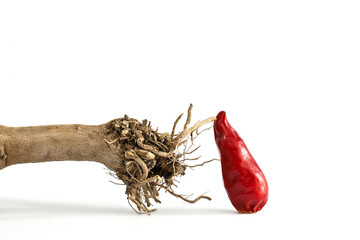 pianta del peperoncino