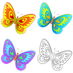 Obraz na płótnie Canvas Butterfly, set
