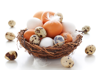 Obraz na płótnie Canvas Eggs in a nest on a white background